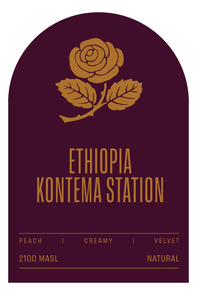 KONTEMA STATION