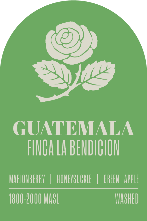 Guatemala - Finca La Bendicion