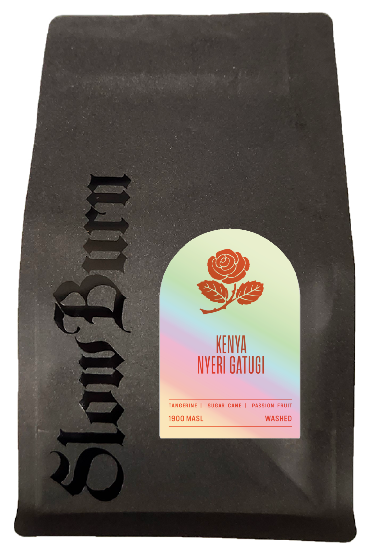 🖤 NYERI GATUGI [Special Release]