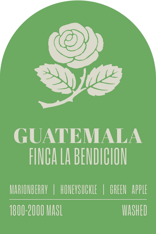 Guatemala - Finca La Bendicion