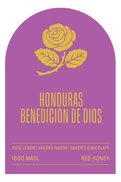 BENEDICION DE DIOS