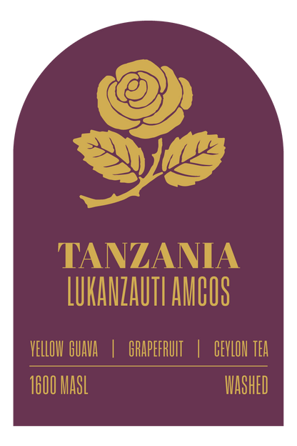 LUKANZAUTI AMCOS